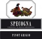 Specogna - Pinot Grigio Orange Wine 2022 (750)