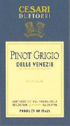 Due Torri - Pinot Grigio Friuli 0 (750ml)