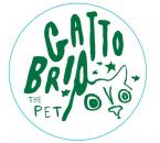 Gatto Brio - The Pet 2021 (750)