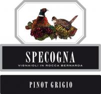 Specogna - Pinot Grigio Orange Wine 2021 (750ml) (750ml)